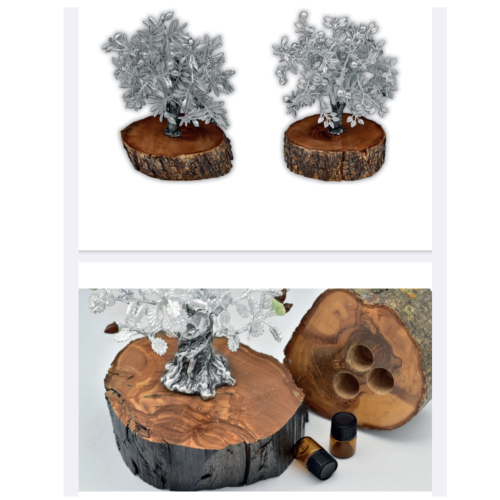 Cremações Lisboa, Cremações Setúbal, Cremações Seixal, Cremações Palmela