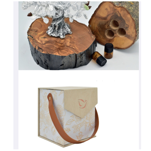 Cremações Lisboa, Cremações Setúbal, Cremações Seixal, Cremações Palmela