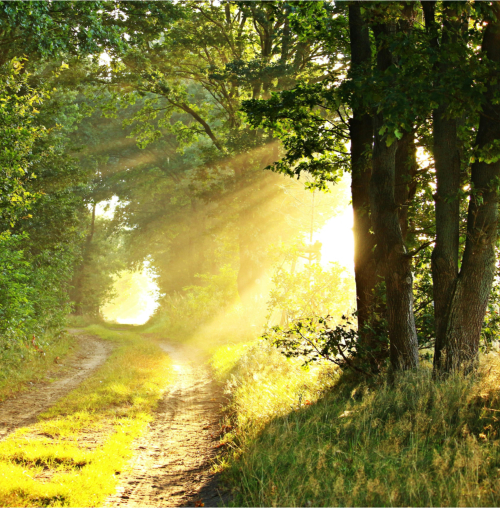 Trasladações Portugal, Funerária em Palmela, margem Sul, serviço de funeral, cremação ou jazigo. funerárias Setúbal Lisboa, Seixal, Almada, funerária